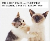 It's humpday