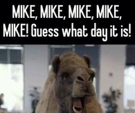 Mile guess what day it is