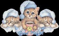 Good Night