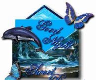 Good Night Sweet Dreams