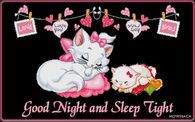 Good Night and Sleep Tight