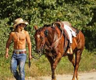 Cowboy and horse