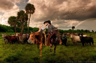 Country love