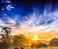 Grazing in the sunset