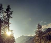 Rays of light