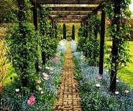 Lush green garden