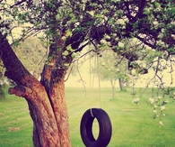 Tire swing