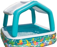 Intex Sun Shade Pool