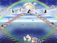 journey to rainbow bridge