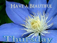 Have a beautiful Thursday