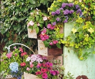Dresser Drawer Garden