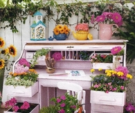 Desk Garden