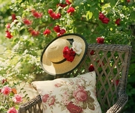 Rose garden