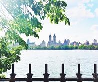 Distant city