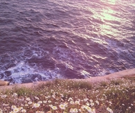 Where nature collides