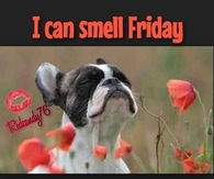 I smell Friday