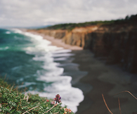 Return to the ocean's edge