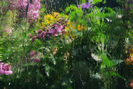 Running raindrops