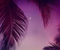 Purple Night Sky