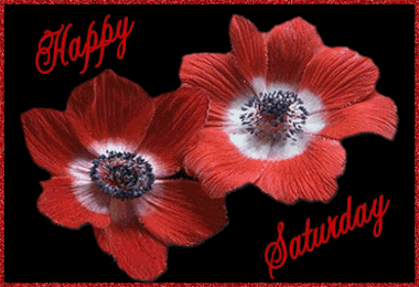 Happy Saturday