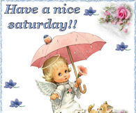 Have a nice saturday