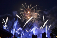 Purple and gold fireworks