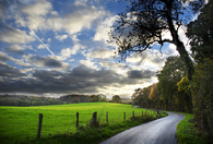 Country road