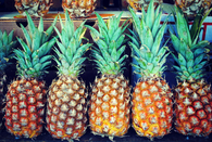 Pineapple stand
