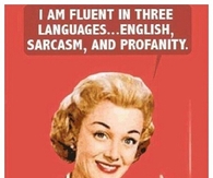 English sarcasm and profanity