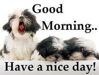 Good morning