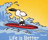 Life is better in summer