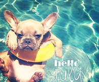 Hello July