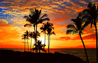 Bright Orange Sunset