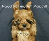Not another Monday
