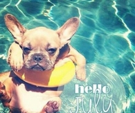 Hello July