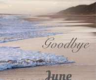 Goodbye June
