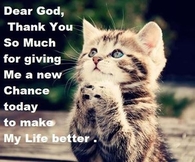 Dear God Thank You