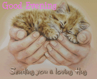 Good evening