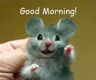 Good Morning