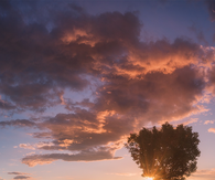 Golden sunset