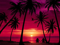 Romantic Tropical Sunset