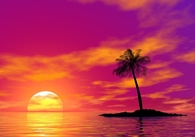 The Sun Setting