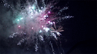 Firework burst