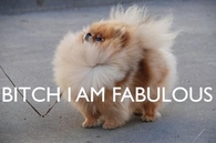 I am fabulous