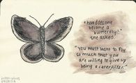 How Does One Become A Butterfly