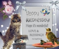 Happy Wednesday