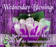 Wednesday Blessings