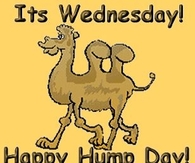 It's wednesday