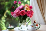 Bright Colorful Roses