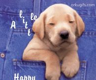 A Little Wish Happy Wednesday